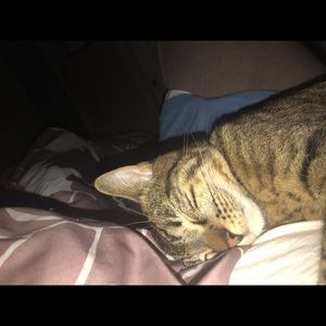 Meet your Posher, Manuela